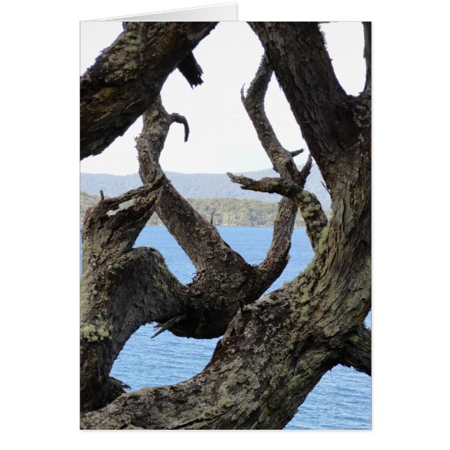 Träd Hälsningskort (Framsidan)
