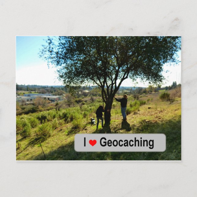 Träd hanger-cache i Geocaching Vykort (Framsida)