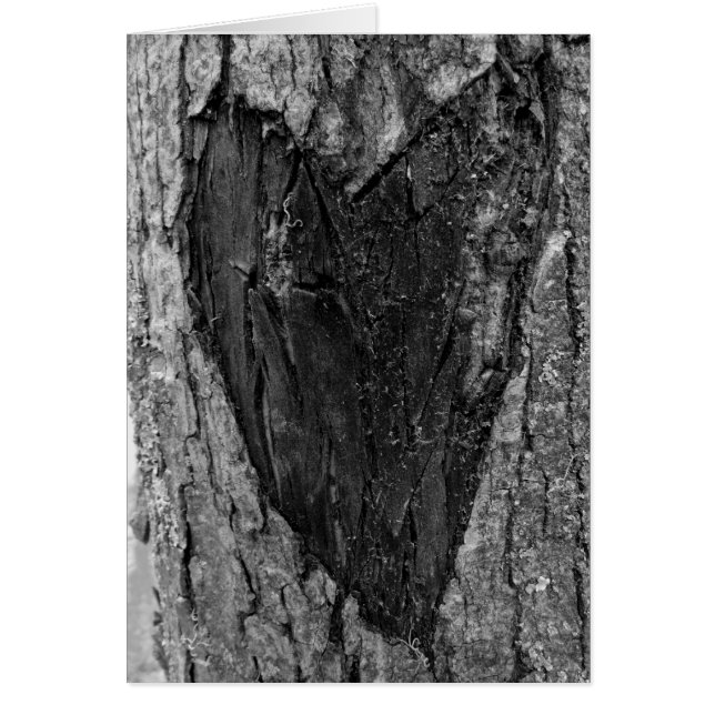 Träd Heart Carving OBS Kort (Framsidan)