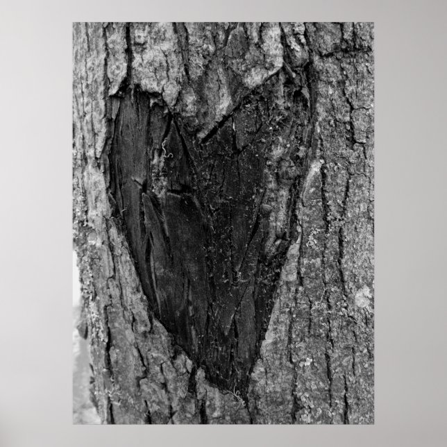 Träd Heart Carving Poster (Framsidan)