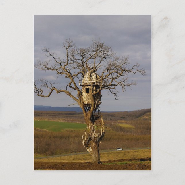 Träd House Vykort (Framsida)