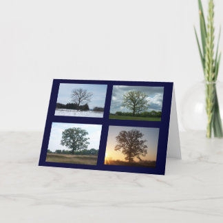 Träd i 4 säsonger kort