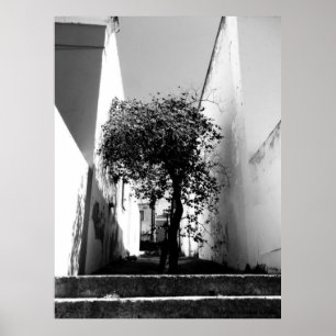 "Träd i affisch för konst för uddTown" JTG