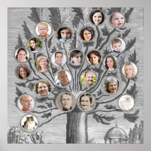Träd i Antique-familjen för in ditt eget Namn och Poster