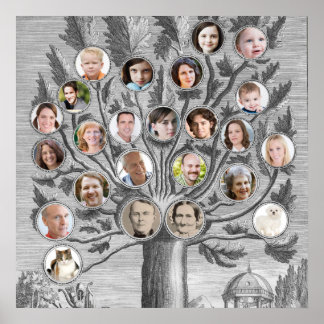 Träd i Antique-familjen för in ditt eget Namn och  Poster