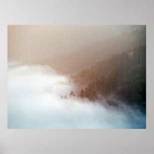 Träd i bergsområde täckt med foder poster