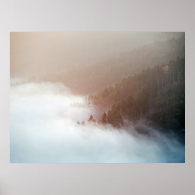 Träd i bergsområde täckt med foder poster (Framsidan)