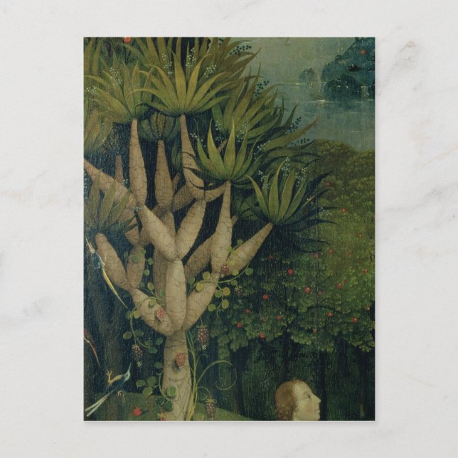 Träd i Bra och ondska Vykort (Framsida)