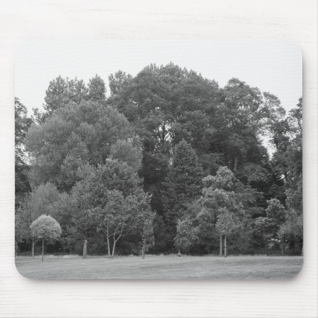 Träd i Bute Park, Cardiff - BW Musmatta (Framsidan)