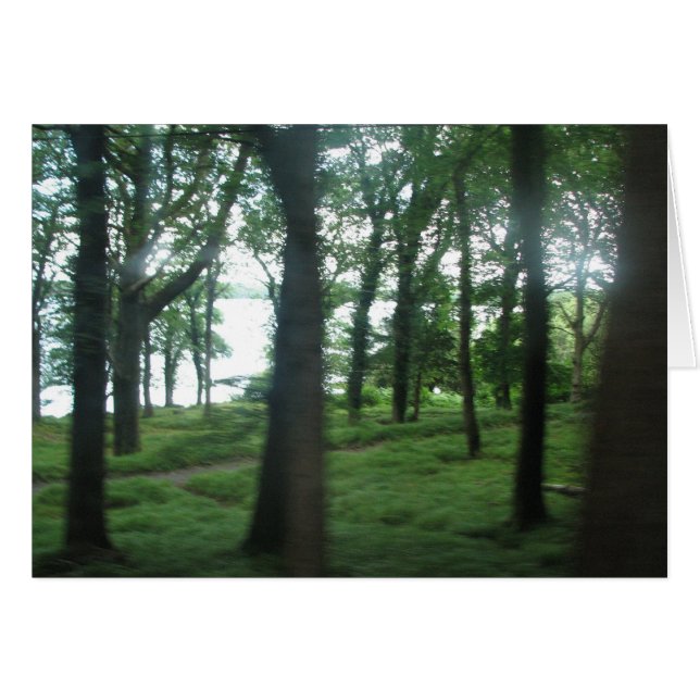 Träd i County Kerry Hälsningskort (Framsidan Horizontal)