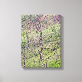 träd i dalen canvastryck