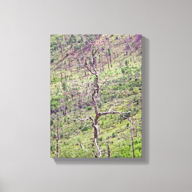 träd i dalen canvastryck (Framsida)