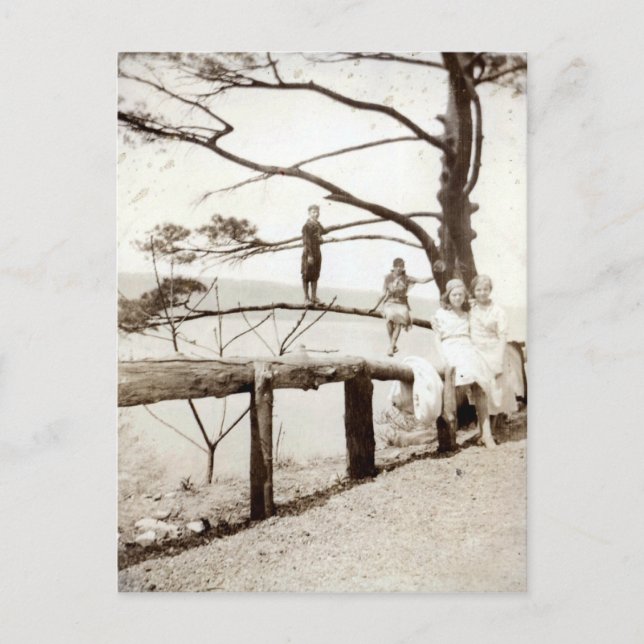 Träd i det förflutna vykort (Framsida)