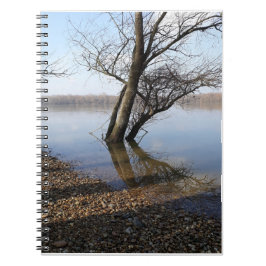 Träd i Donau Anteckningsbok