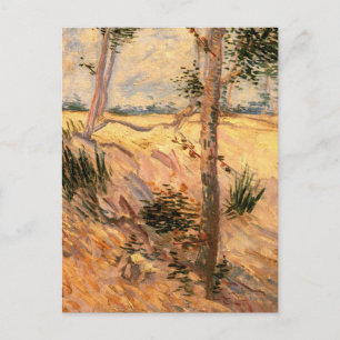 Träd i en åker på en solig dag av Vincent van Gogh Vykort