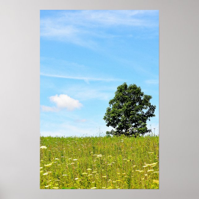 Träd i en Fält Poster (Framsidan)