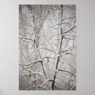 Träd i en Snowstormaffisch Poster