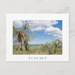Träd i ett landskap i Toscana Vykort
