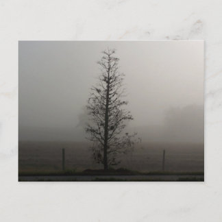Träd i Fog 038-vykort Vykort