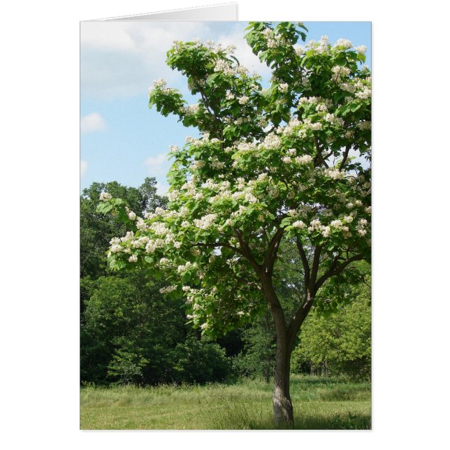 Träd i Fullt Bloom Hälsningskort (Framsidan)