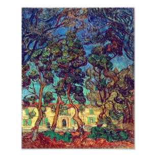 Träd i Hospitalsträdgården Van Gogh Fototryck