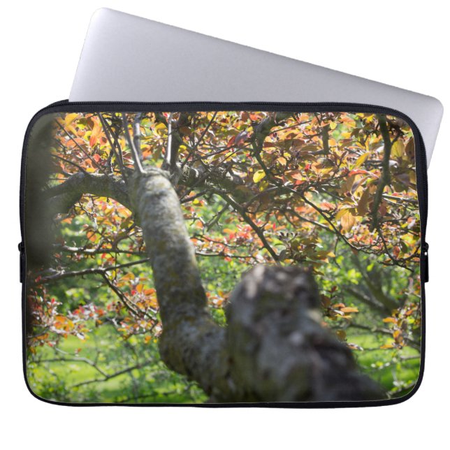 Träd i höstfotografi laptop sleeve (Framsidan)