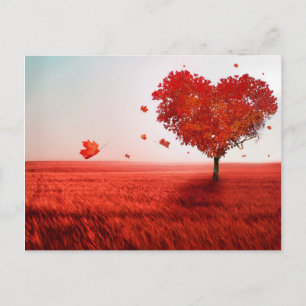 TRÄD i KÄRLEK Vykort