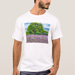 Träd i lavendelfält, Frankrike Tee