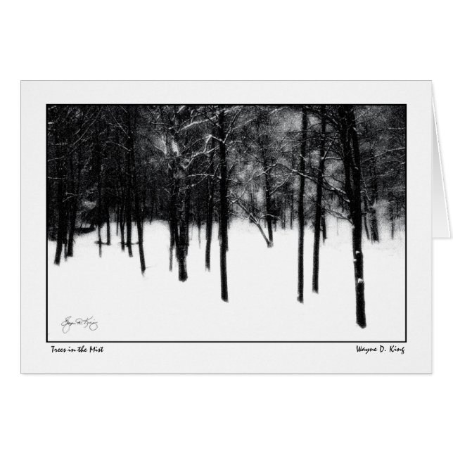 Träd i misten hälsningskort (Framsidan Horizontal)