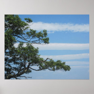 Träd i molnen poster