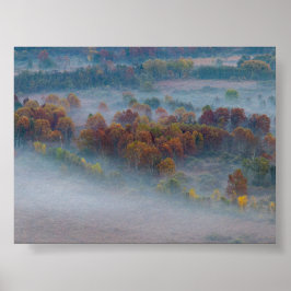 Träd i morgondimma poster