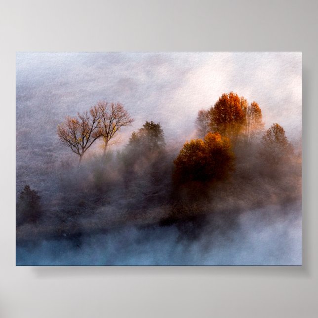 Träd i morgondimma poster (Framsidan)