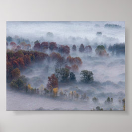 Träd i morgondimma poster