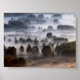 Träd i morgondimma poster