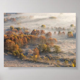 Träd i morgondimma poster