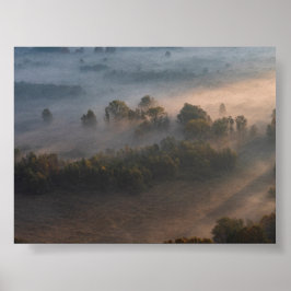 Träd i morgondimma poster