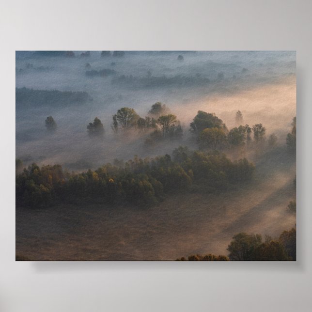 Träd i morgondimma poster (Framsidan)
