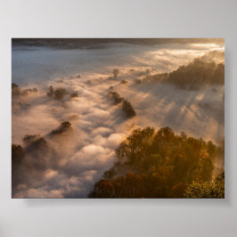 Träd i morgondimma poster