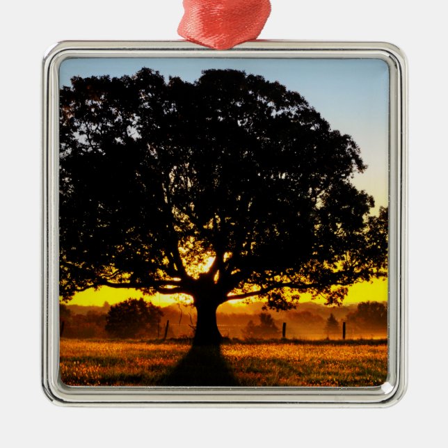 Träd i morgonen julgransprydnad metall (Framsidan)