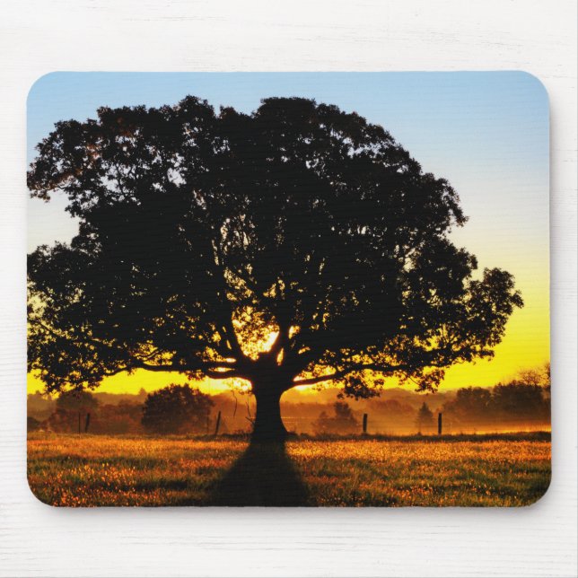 Träd i morgonen musmatta (Framsidan)