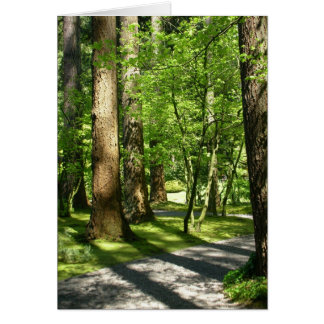Träd i Nitobe Garden Hälsningskort