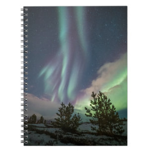Träd i norra Ljus Anteckningsbok