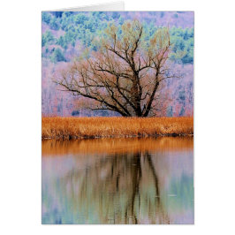 Träd i övergången hälsningskort