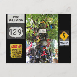 Träd i Shame Vykort