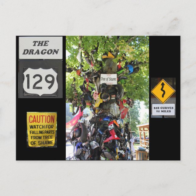 Träd i Shame Vykort (Framsida)