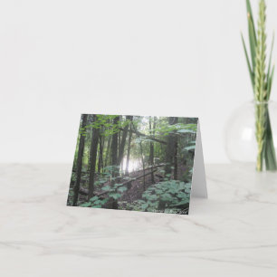 Träd i skogen - naturskyddskort kort