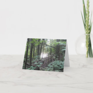 Träd i skogen - naturskyddskort kort