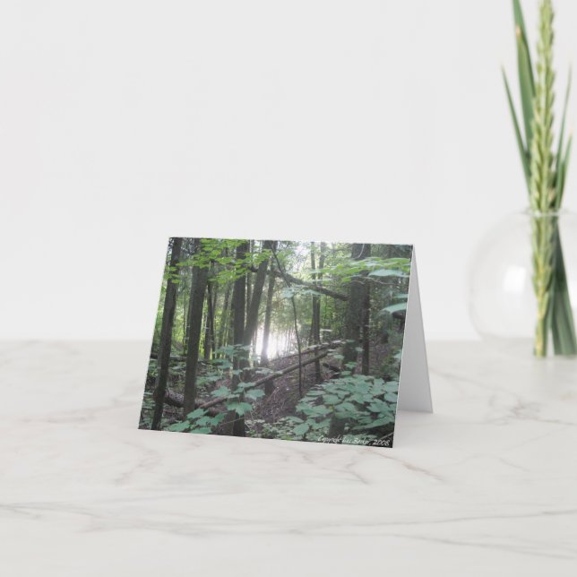 Träd i skogen - naturskyddskort kort (Framsida)