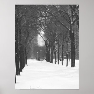 Träd i snöaffisch poster