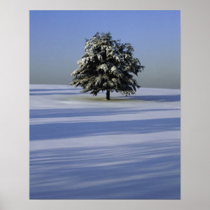 Träd i täckt snö landskap poster